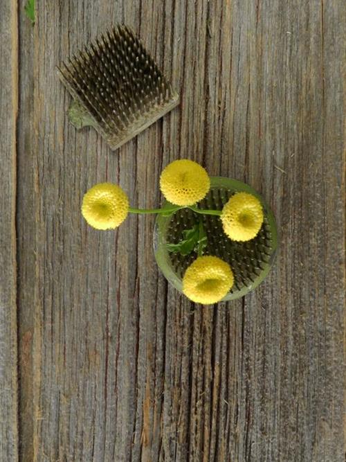 BUTTON  YELLOW MATRICARIA